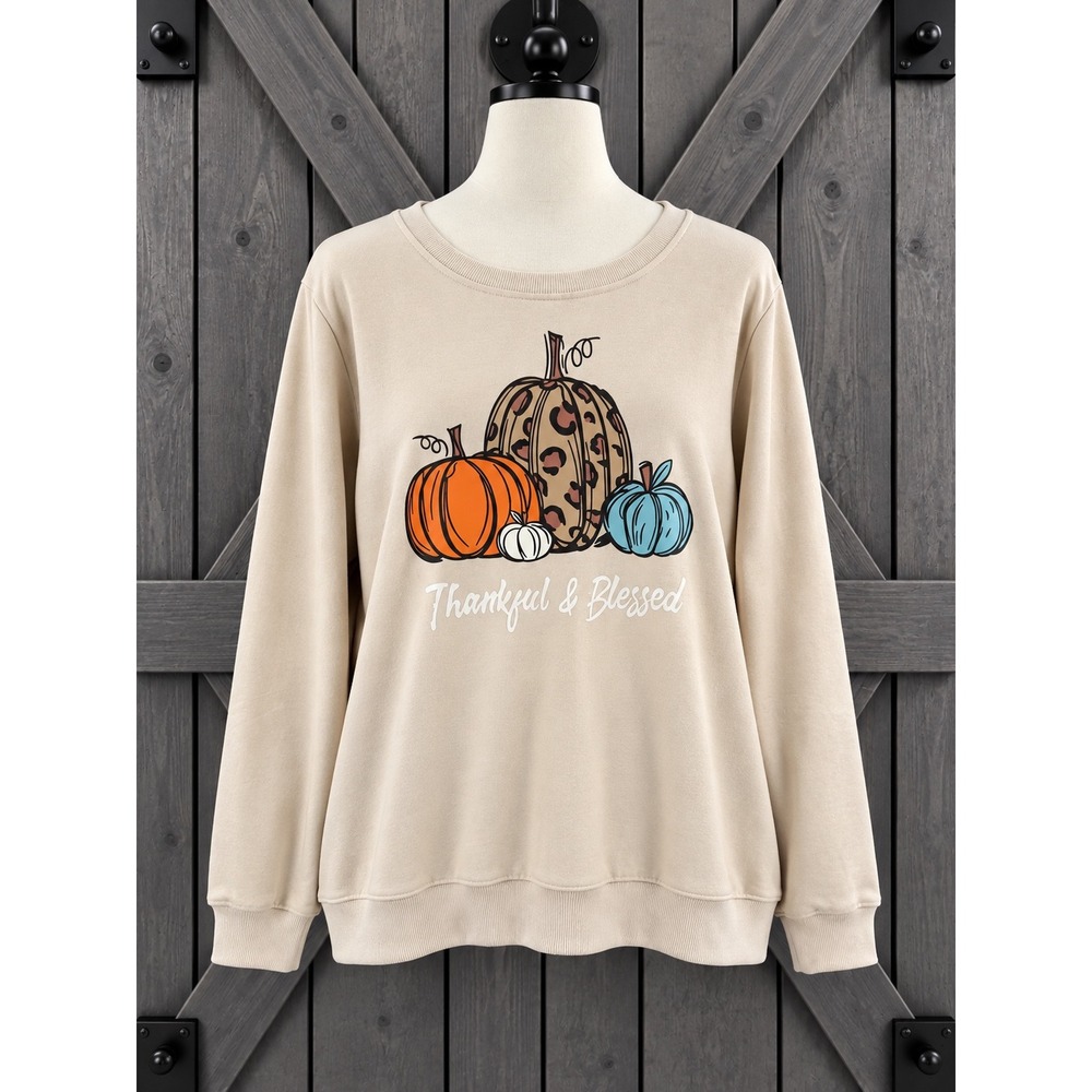 Fall Festival Novelty Sweatshirt 2XL Beige Thankful & Blessed Pumpkin Graphic